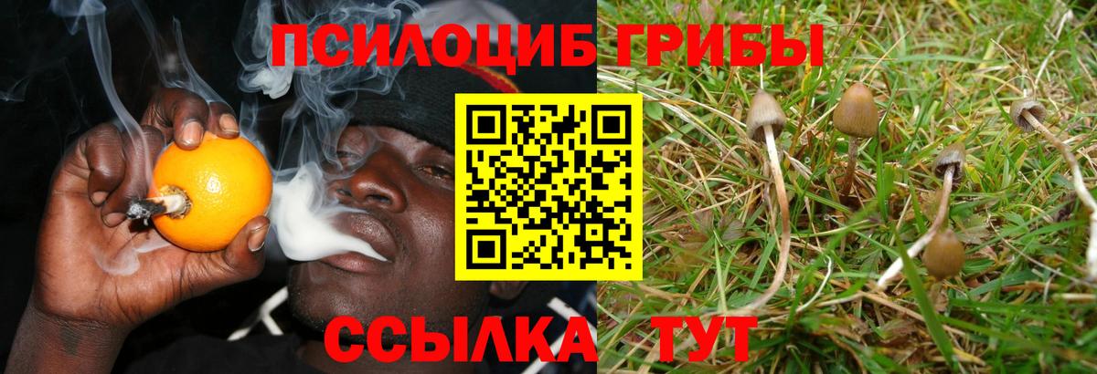 Орехово-Зуево  Псилоцибиновые грибы Psilocybe  Галлюциногенные грибы Psilocybine cubensis  Вход с VPN 